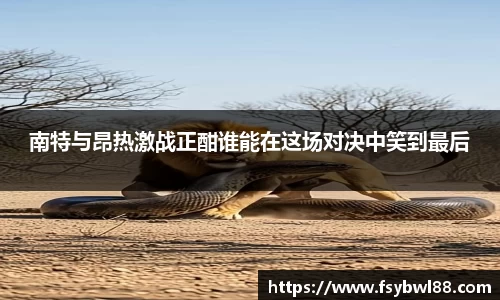 南特与昂热激战正酣谁能在这场对决中笑到最后