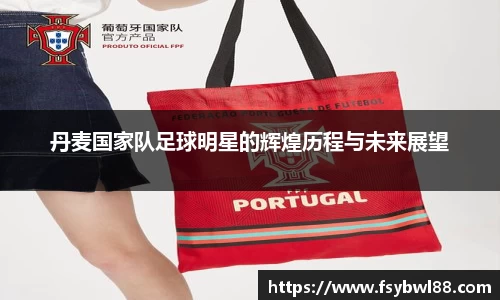 丹麦国家队足球明星的辉煌历程与未来展望